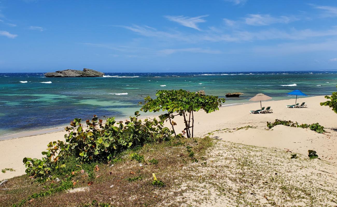 Фото Cosita rica beach с светлый песок поверхностью