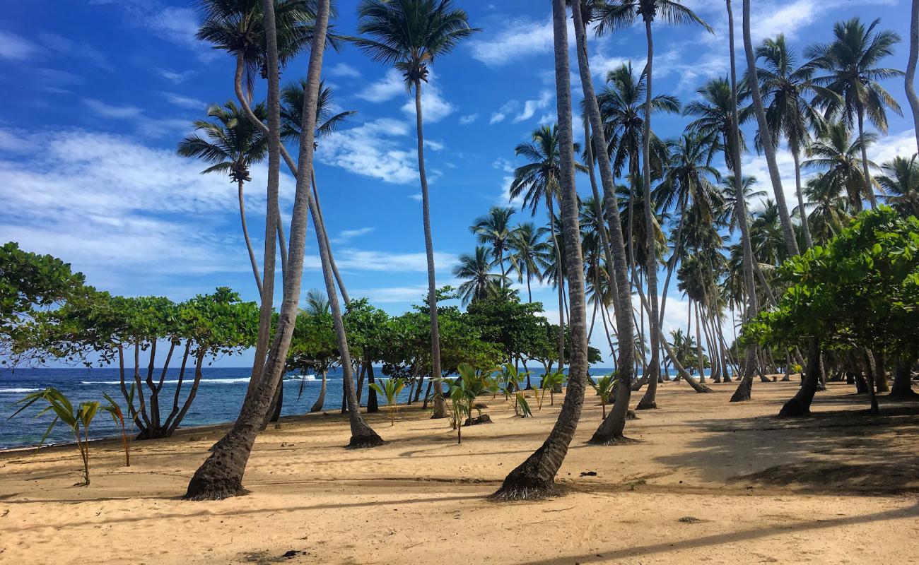 Фото Playa Caleton Grande с светлый песок поверхностью