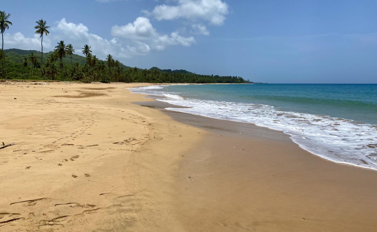 Фото Playa la Cana с темный чистый песок поверхностью