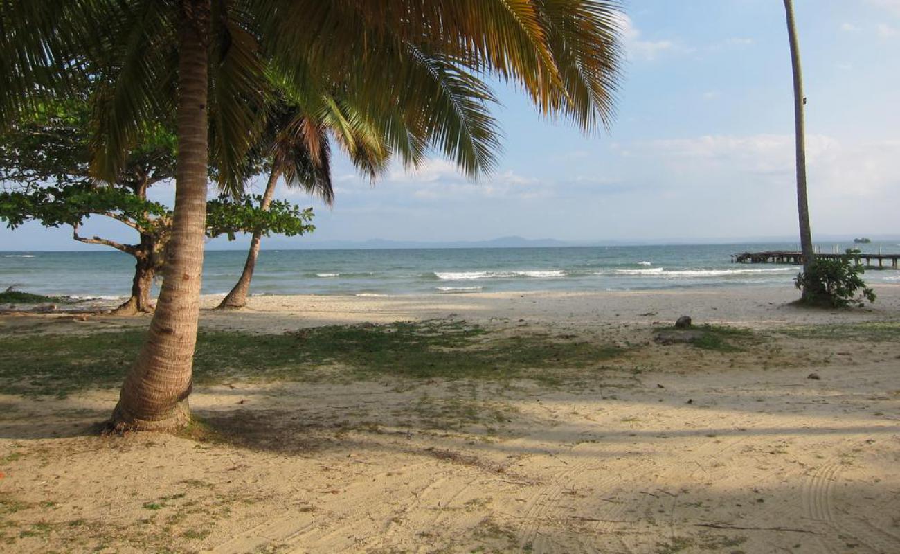 Фото Playa la pascuala с светлый песок поверхностью