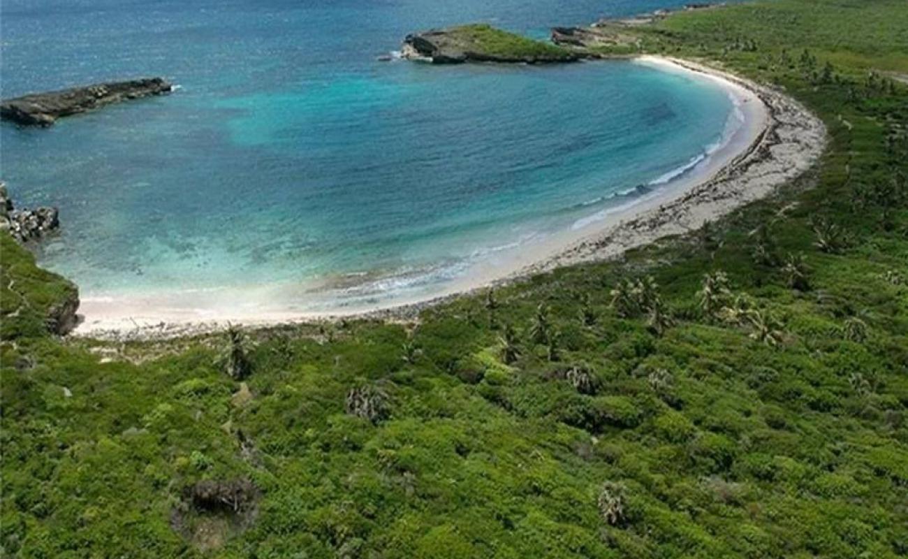 Фото Guanabano beach с золотистый песок поверхностью