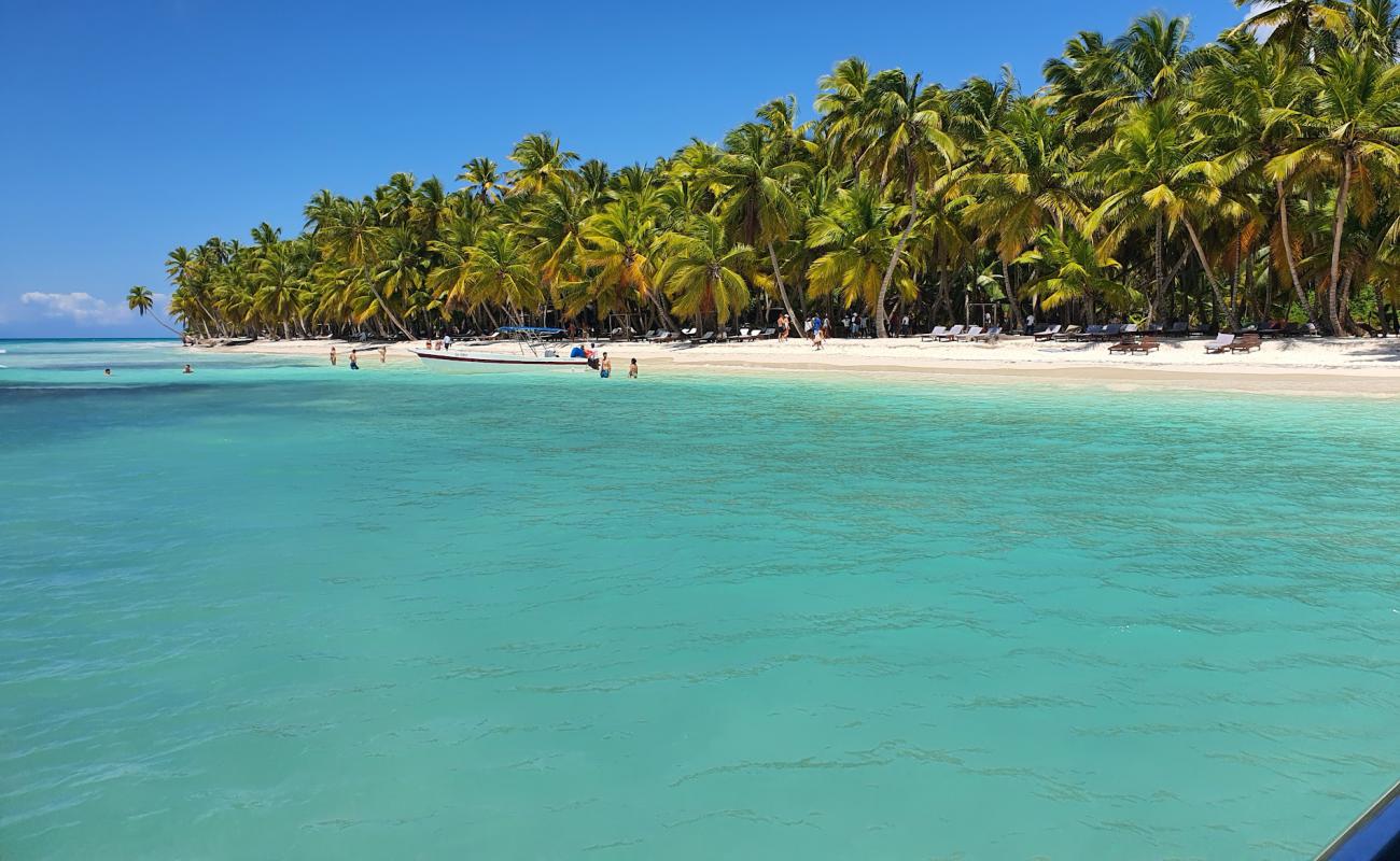 Фото Palmilla beach с золотистый песок поверхностью