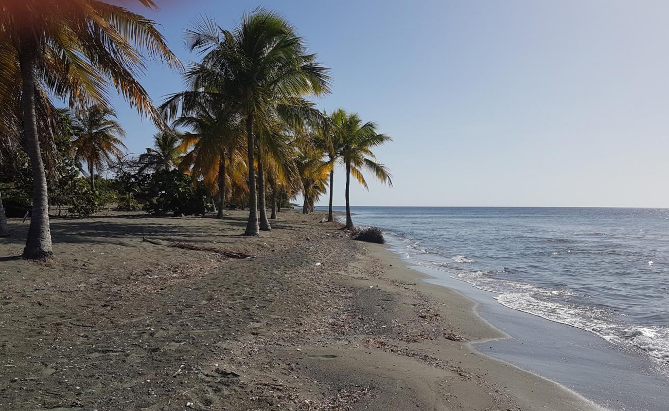 Фото Playa Punta Salinas с серый песок поверхностью