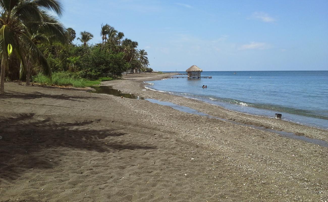 Фото Palmar de Ocoa beach с серый песок поверхностью