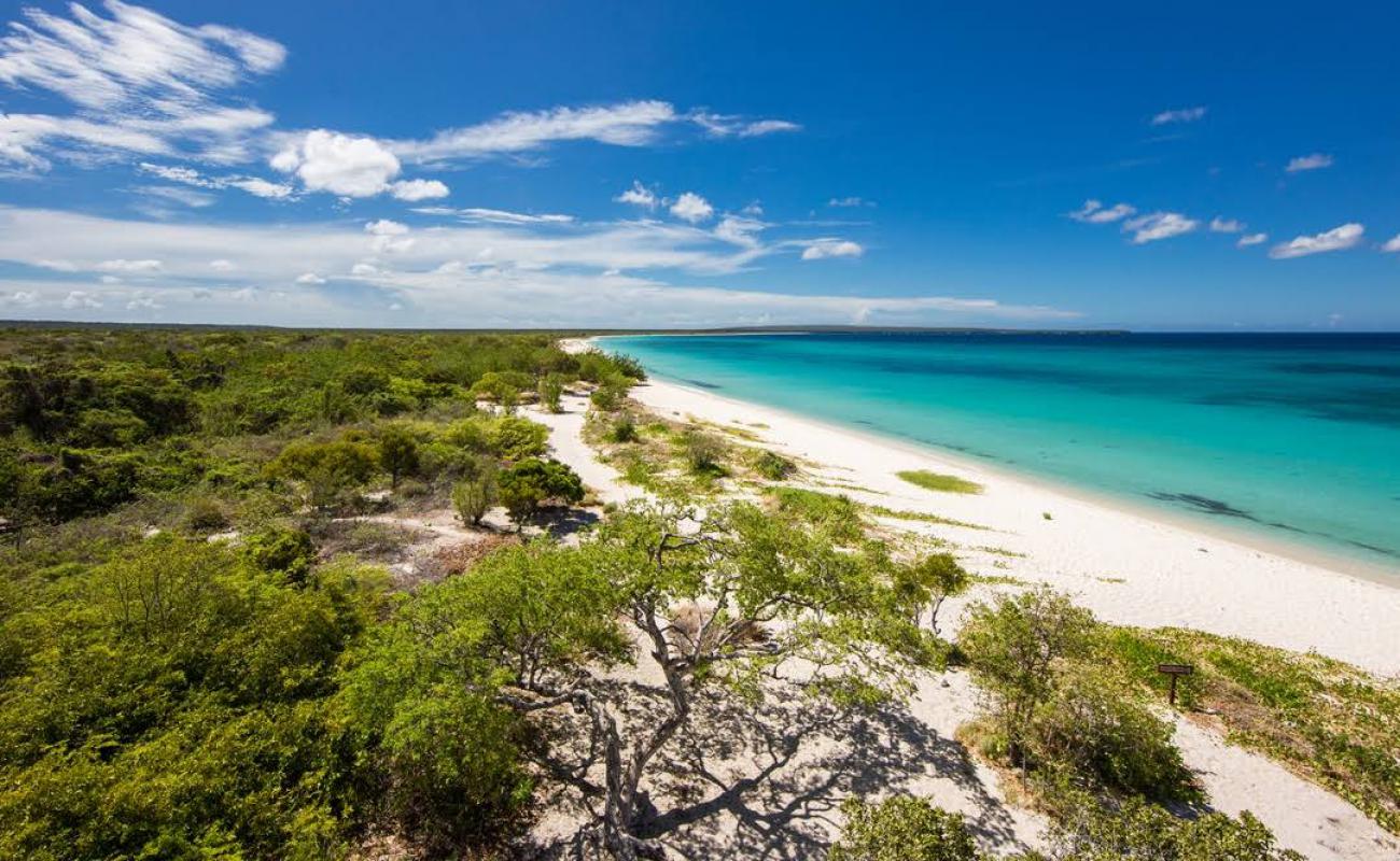 Фото Eagles Bay beach с золотистый песок поверхностью