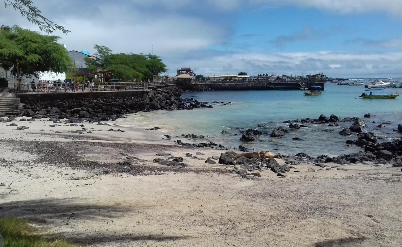 Фото Playa de Oro с песок с камнями поверхностью