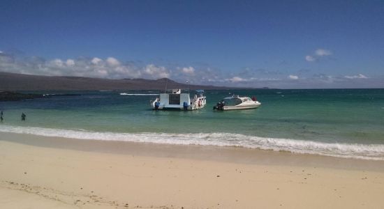 Playa El Manglecito