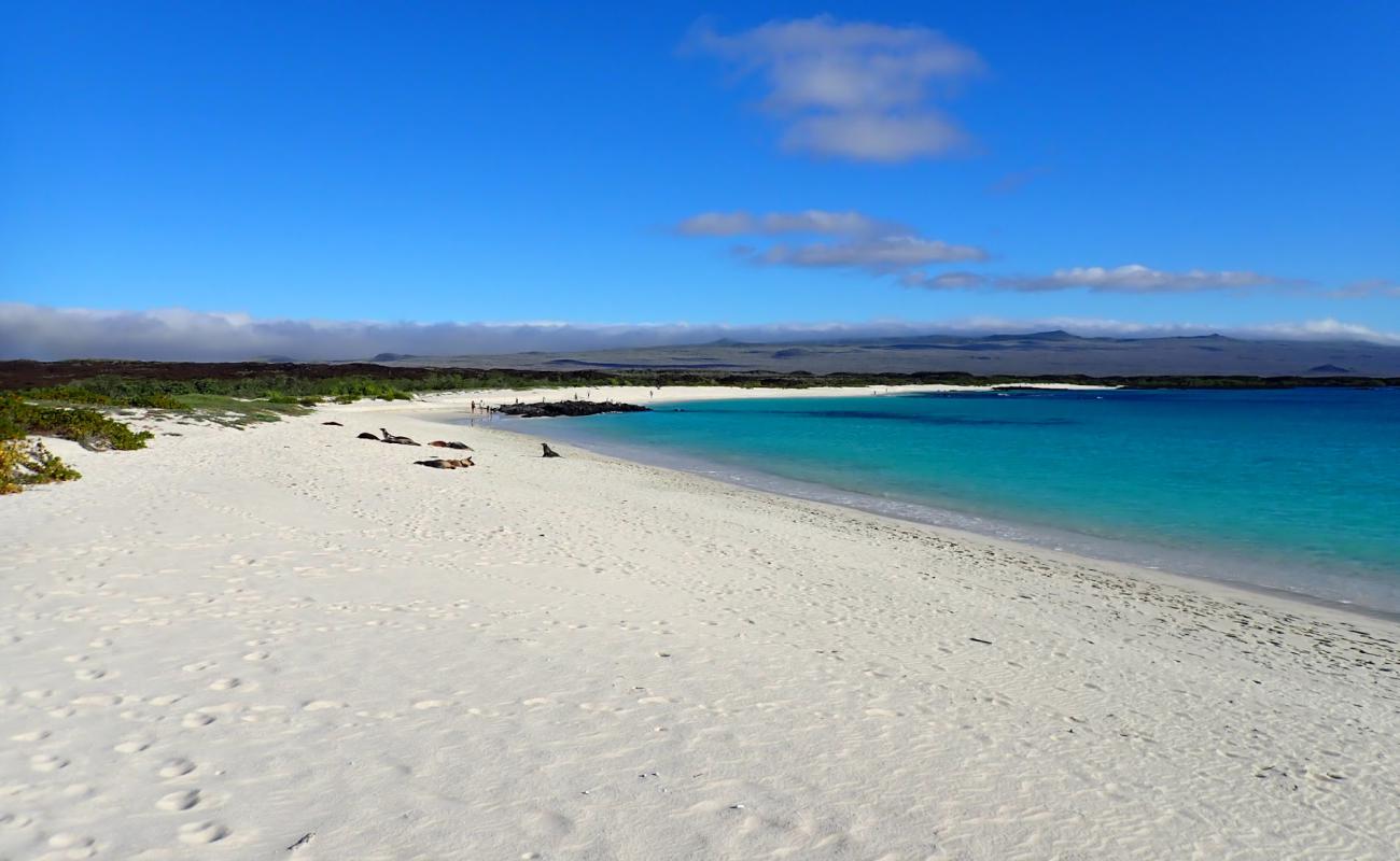 Фото Playa Cerro Brujo с белый чистый песок поверхностью