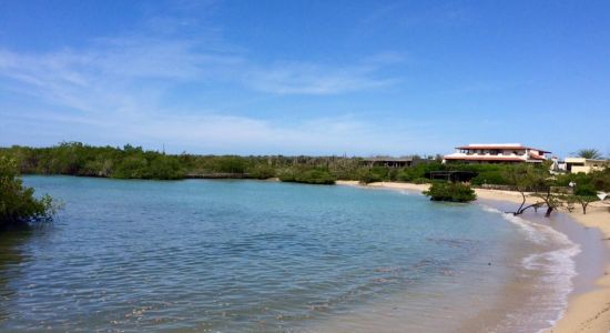 Playa los alemanes