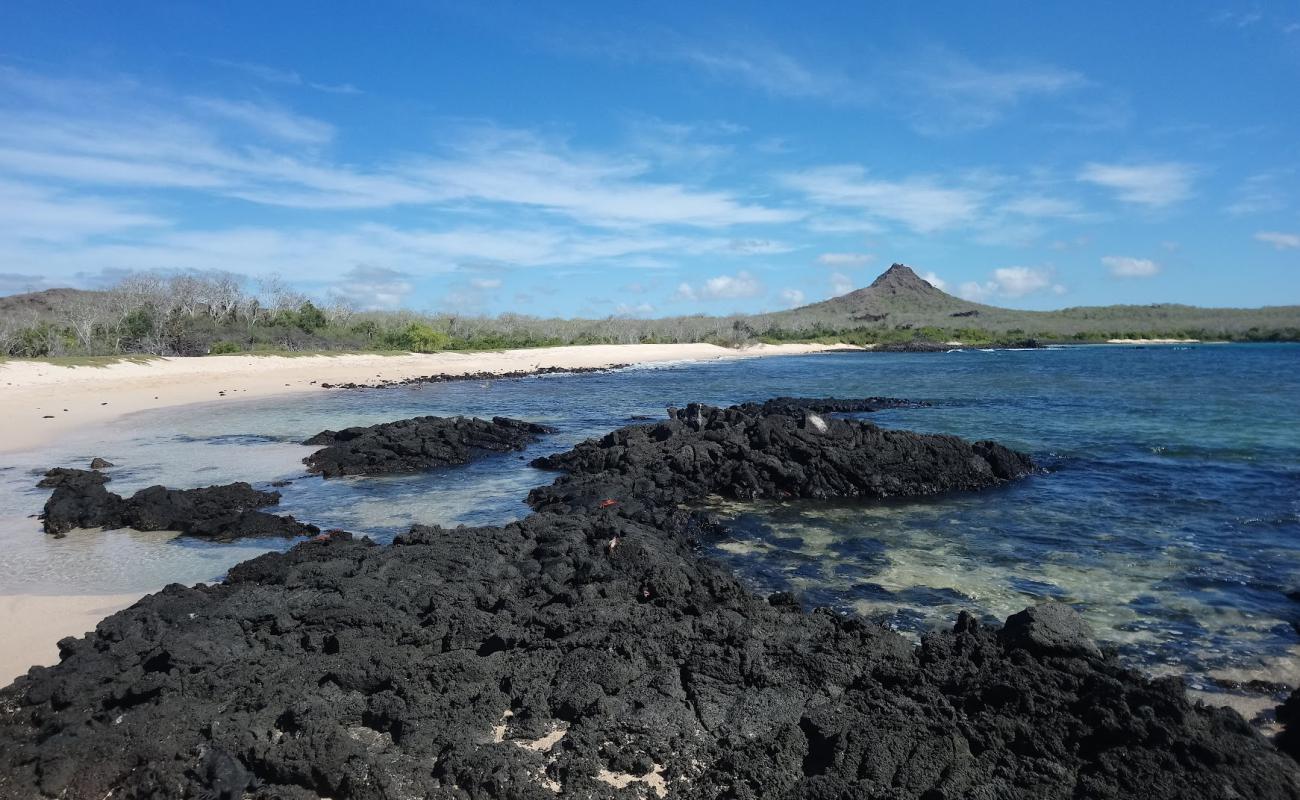 Фото Cerro Dragon Beach с песок с камнями поверхностью