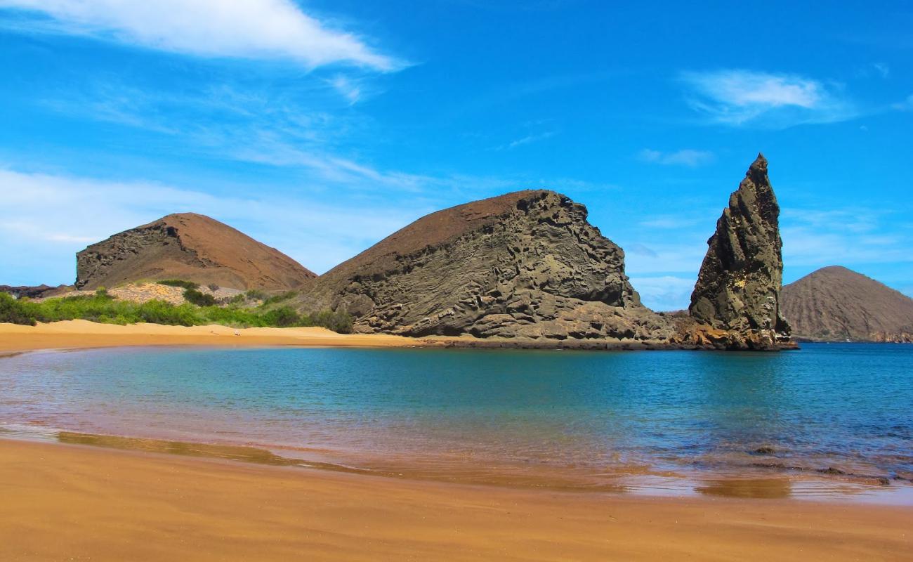 Фото Playa Dorada с светлый песок поверхностью