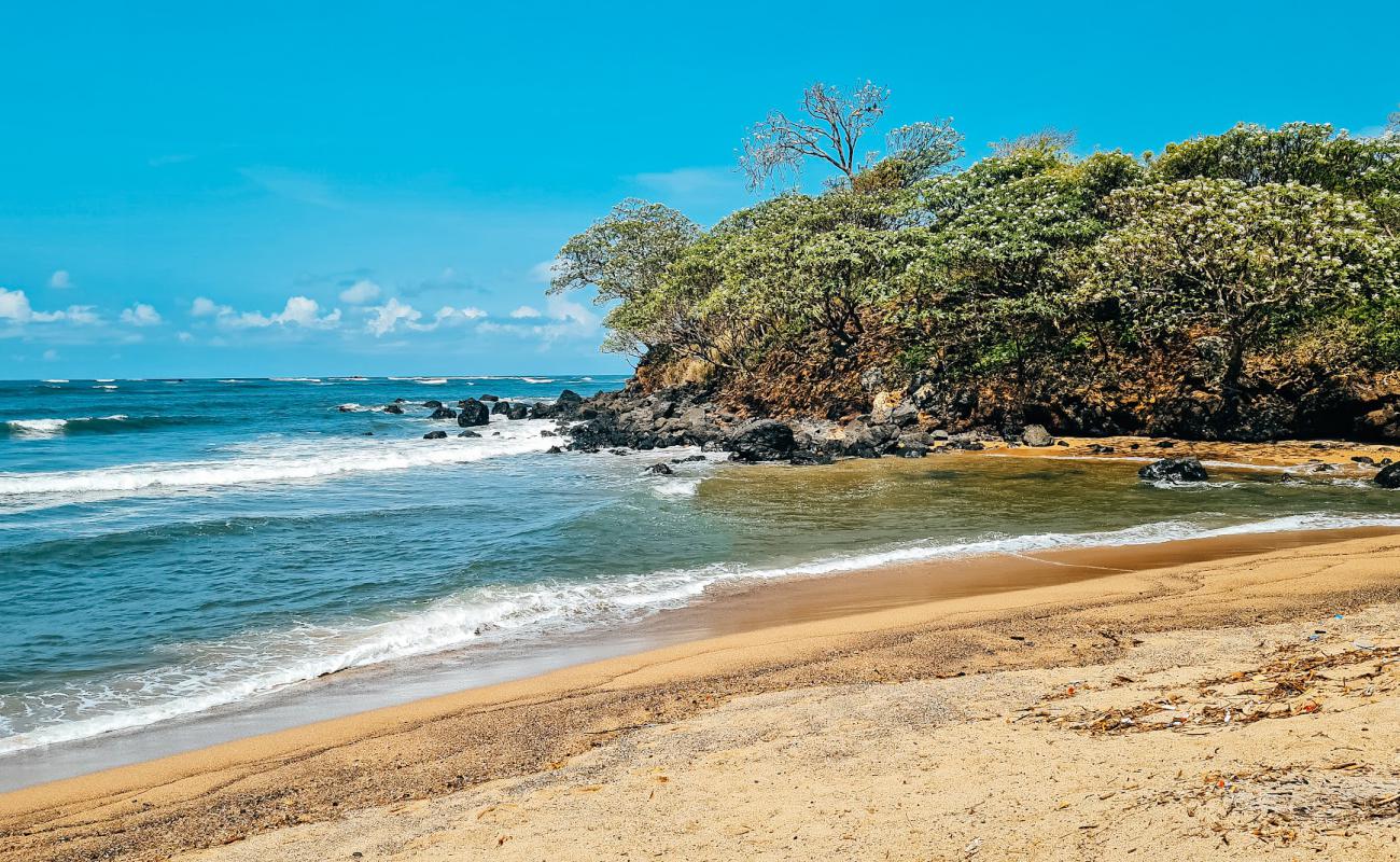 Фото El Flor Beach с песок с камнями поверхностью