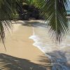 Taveuni Beach