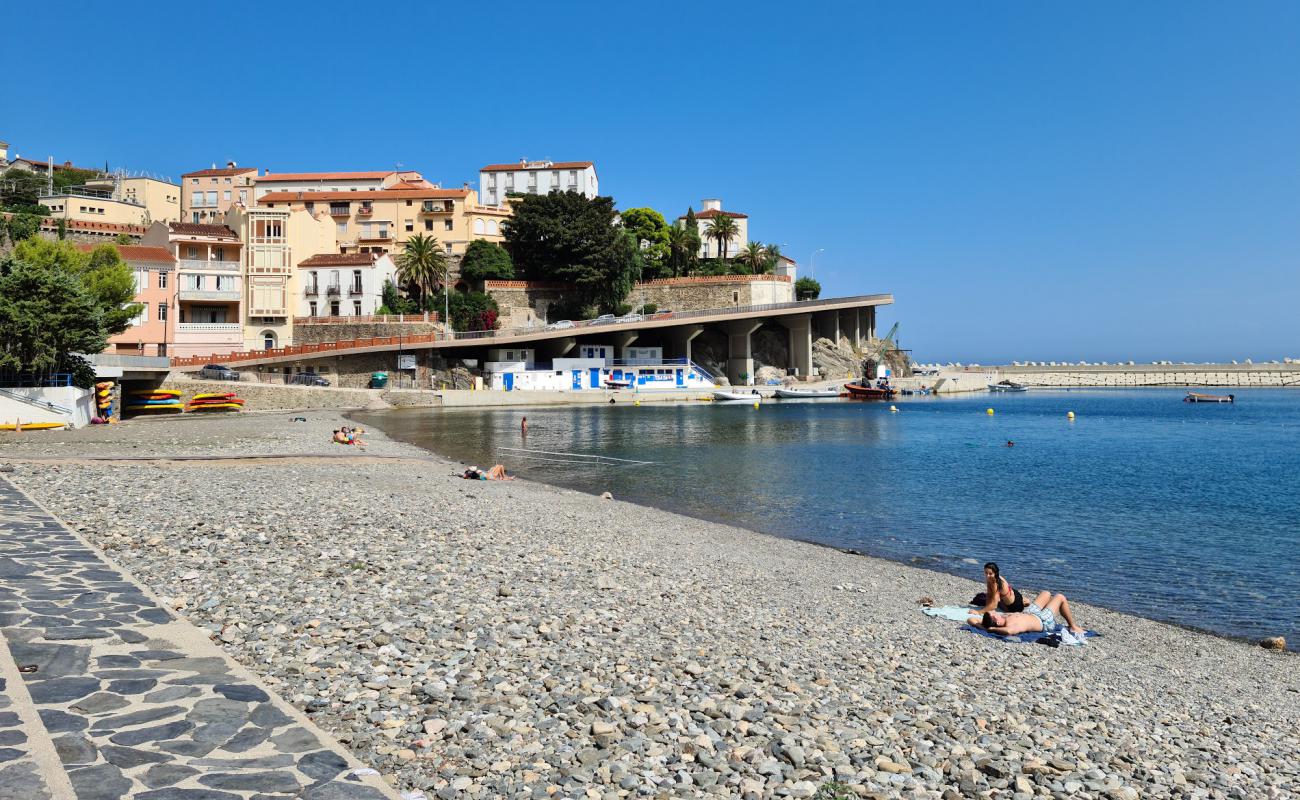 Фото Cerbere beach с серая галька поверхностью