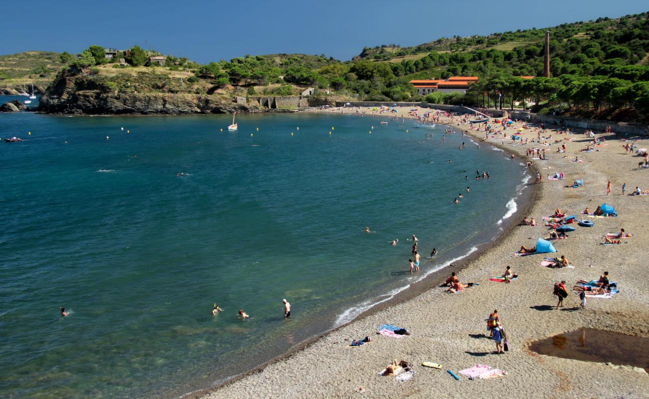 Фото Paulilles beach с белая чистая галька поверхностью