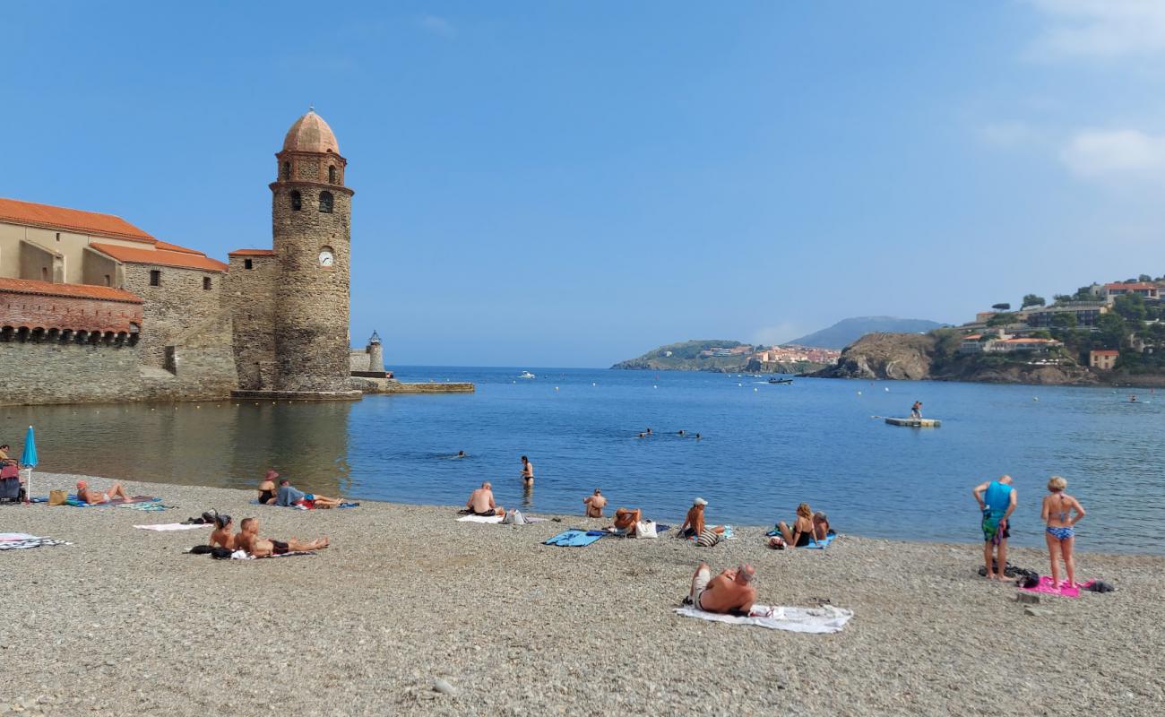 Фото Collioure plage с белая чистая галька поверхностью