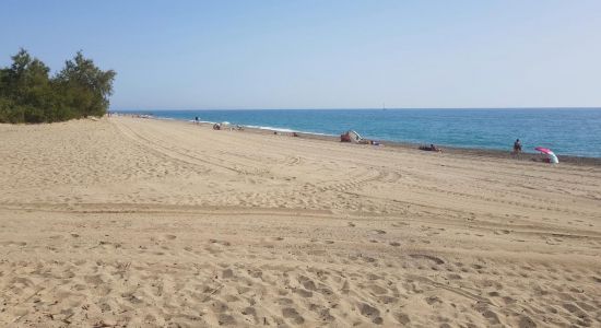 Saint Cyprien plage