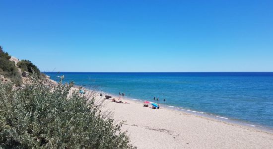 Leucate beach