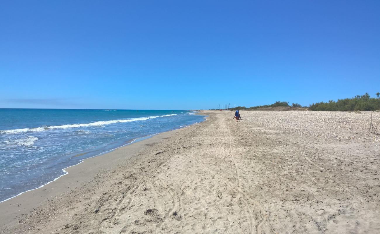 Фото Plage des Aresquiers с светлый песок поверхностью