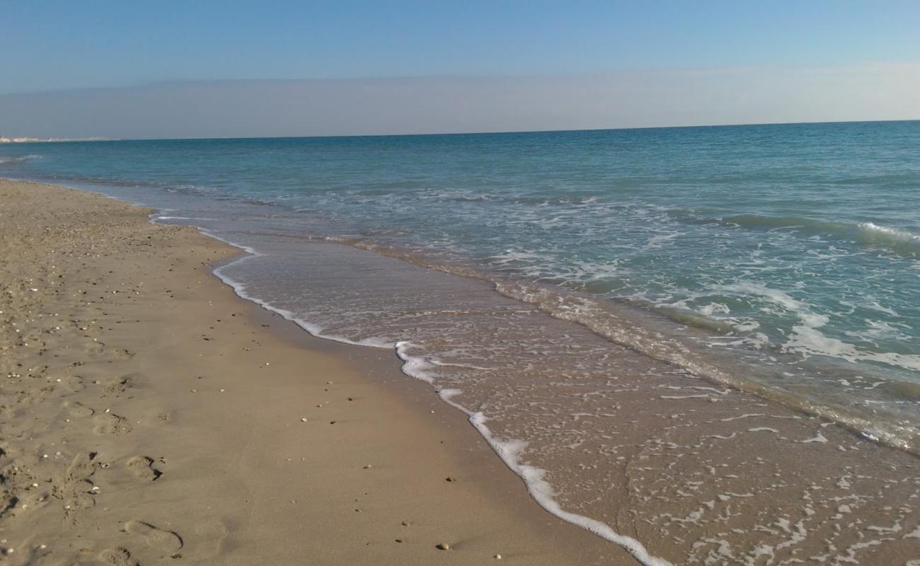 Фото Maguelone beach с светлый песок поверхностью