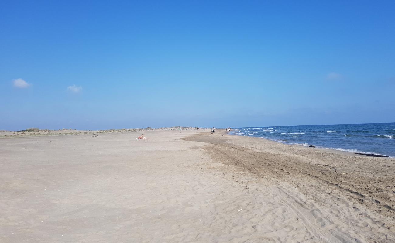 Фото Plage de l'Espiguette с золотистый песок поверхностью