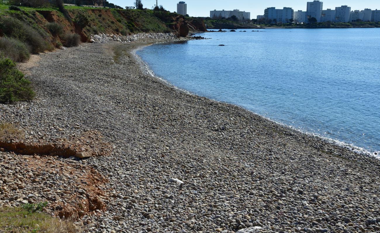 Фото Plage des Ours с камни поверхностью