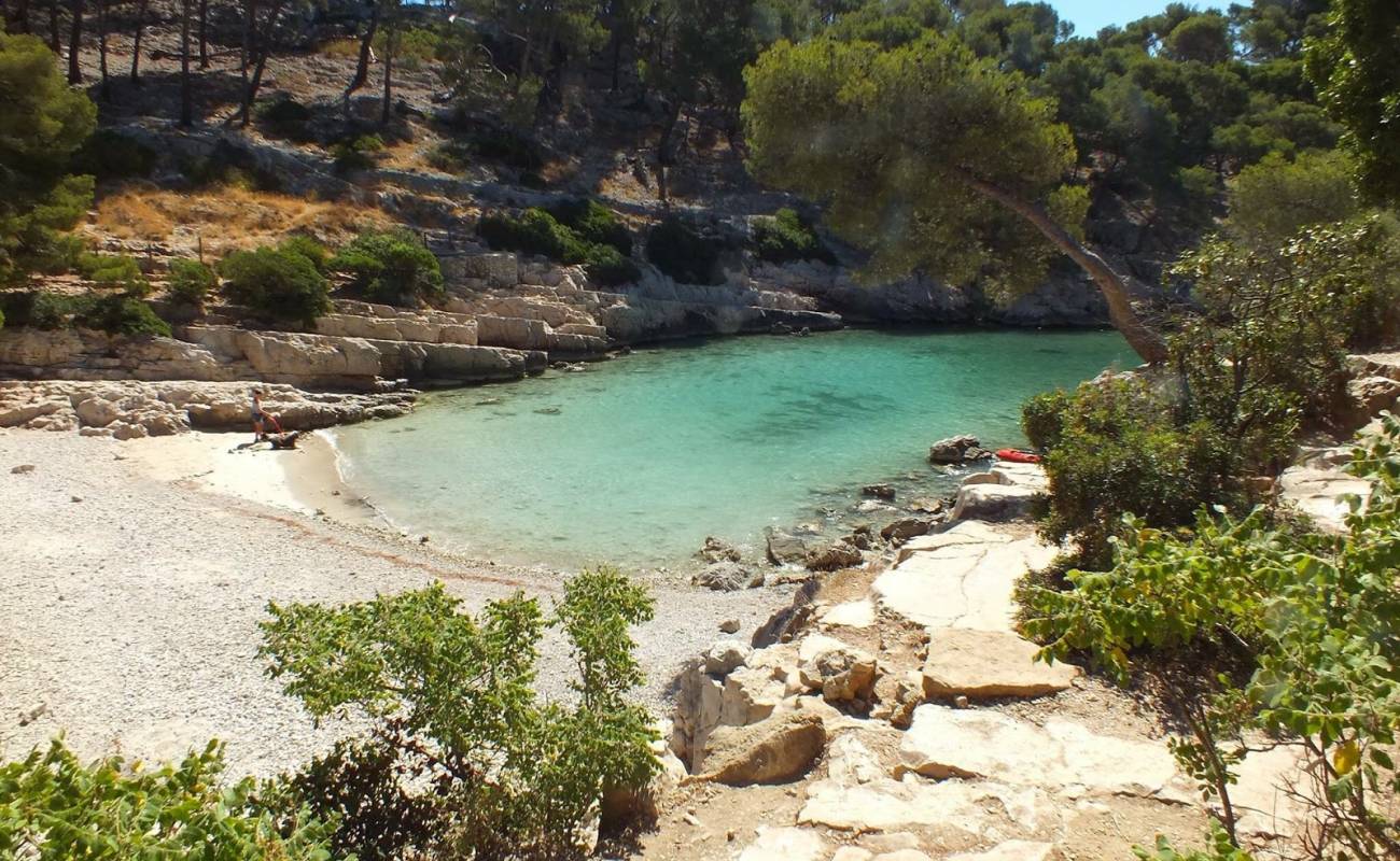 Фото Calanque de Port Pin с светлая галька поверхностью