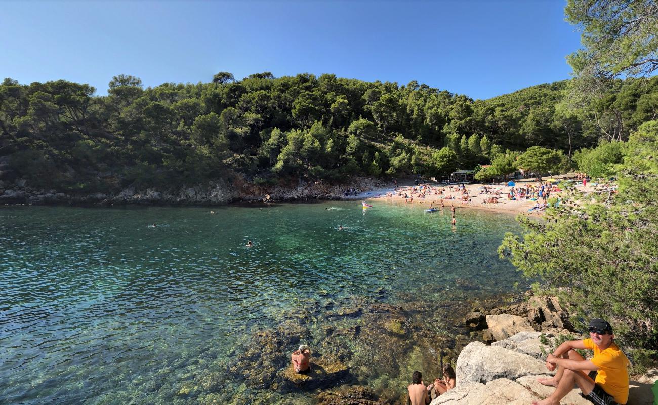 Фото Calanque De Port D'Alon зона с удобствами