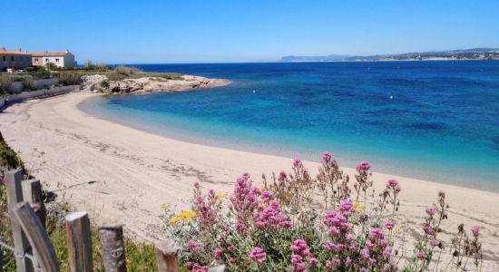 Plage de la Coudouliere