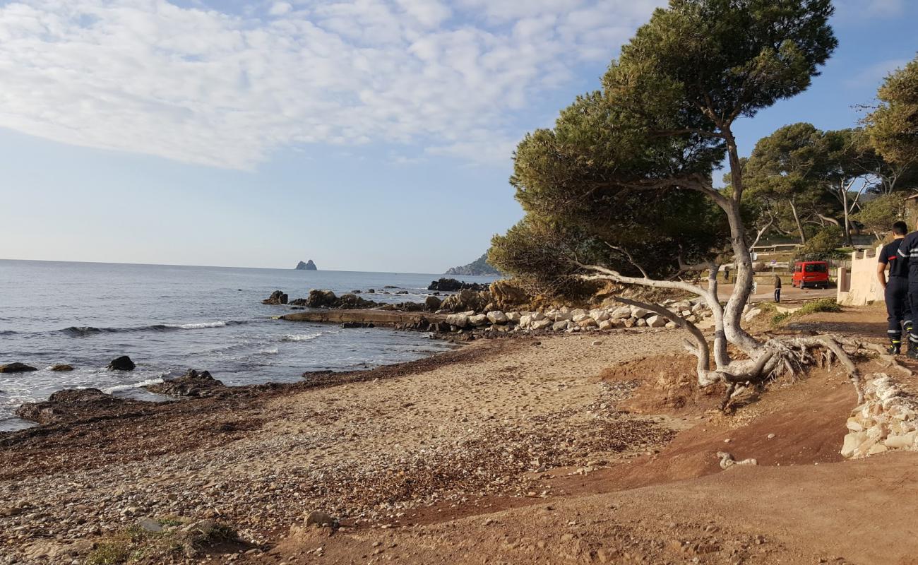 Фото Plage de la Verne с темная галька поверхностью