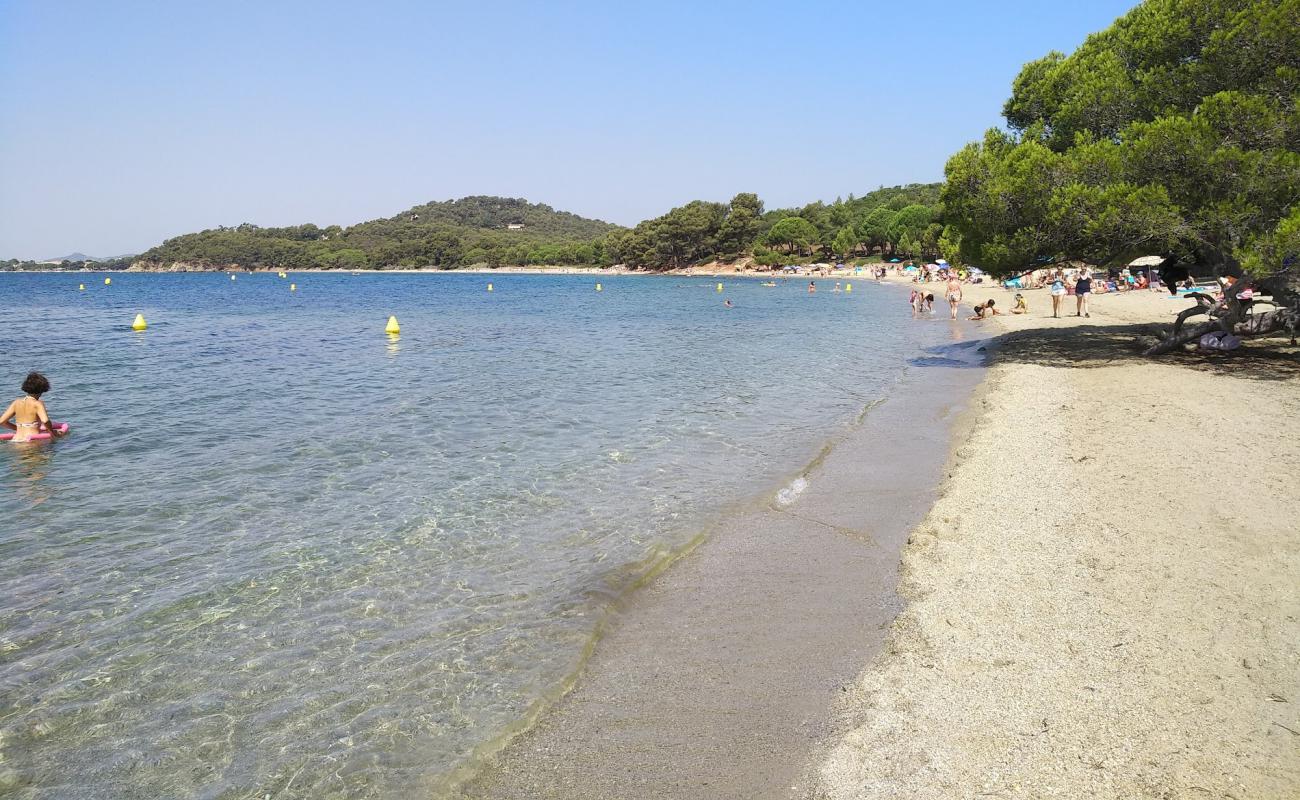 Фото Pellegrin beach с светлый песок поверхностью