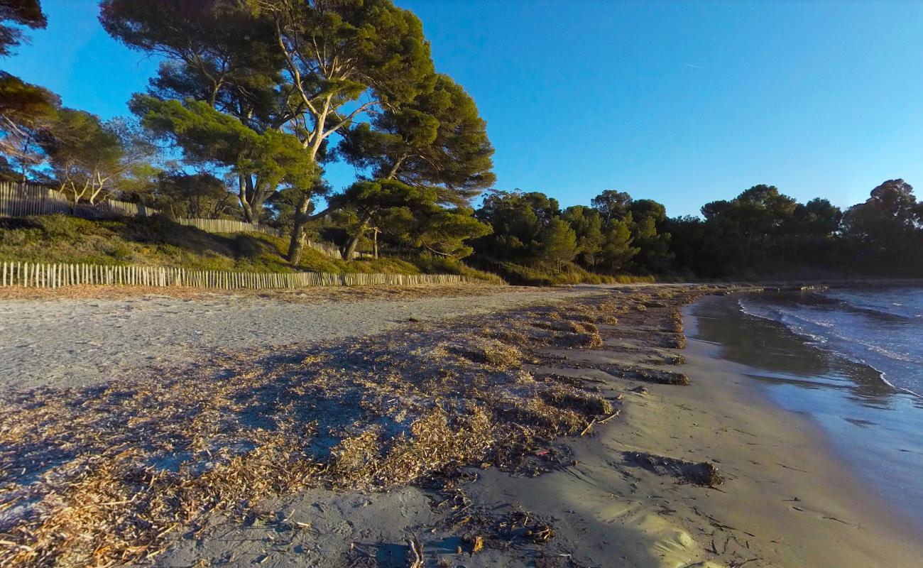 Фото Leoube beach дикая зона