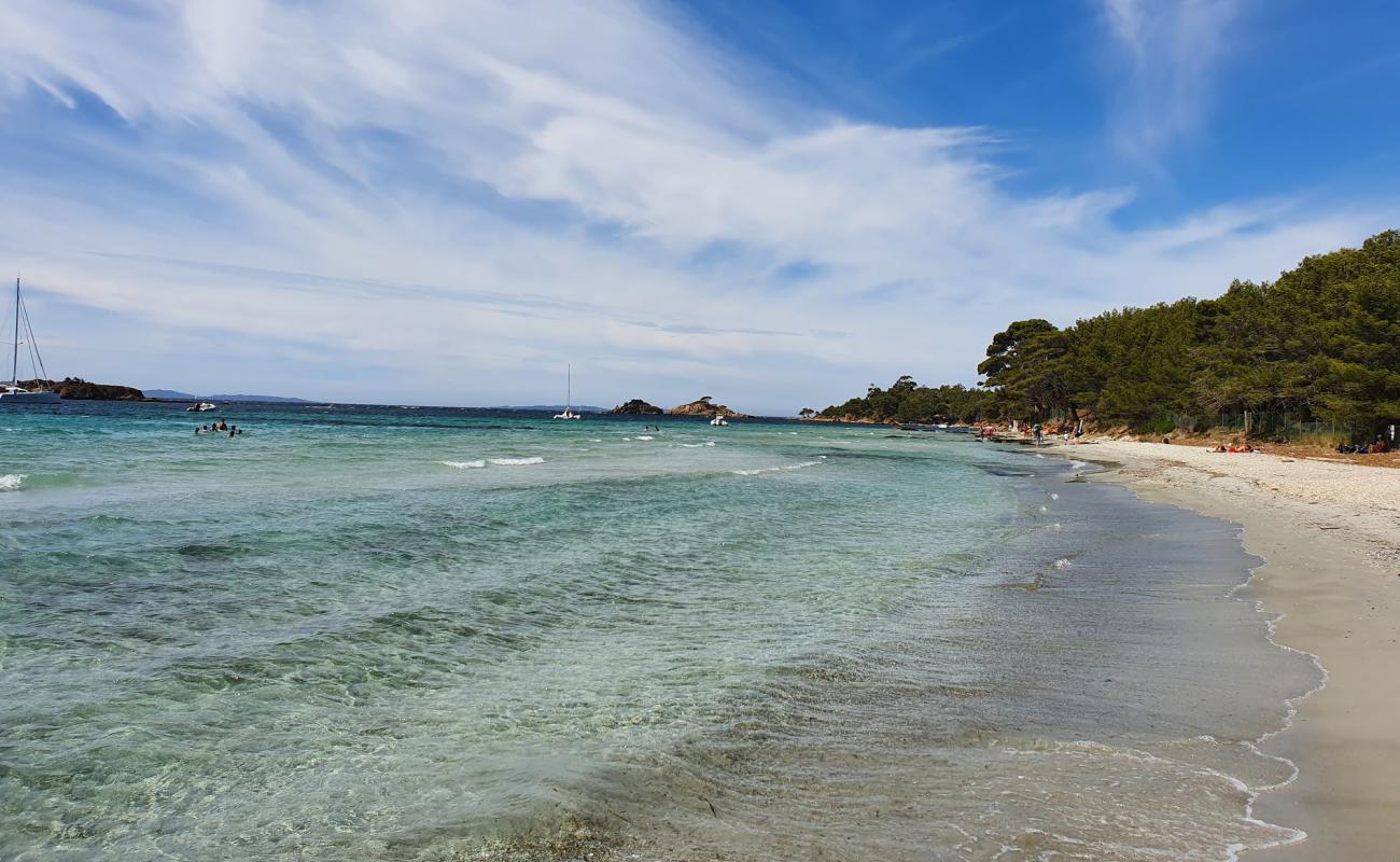 Фото Large garden beach с белый песок поверхностью