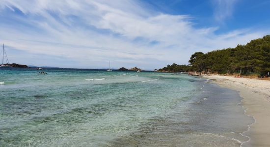 Large garden beach