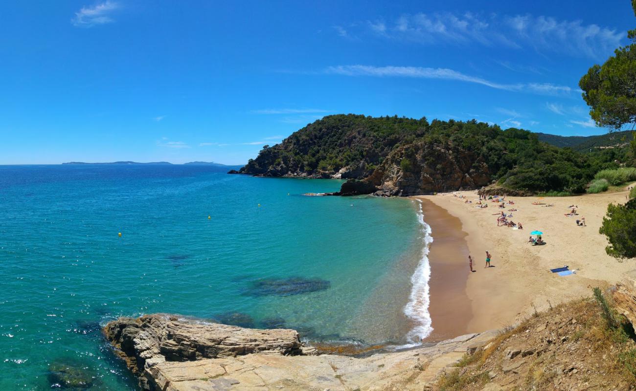 Фото Bonporteau beach с золотистый песок поверхностью