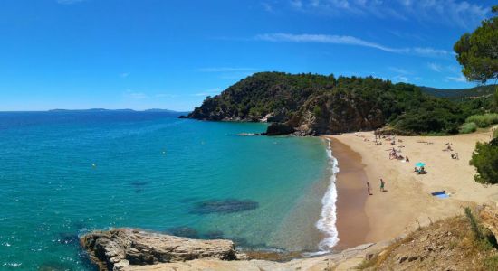 Bonporteau beach