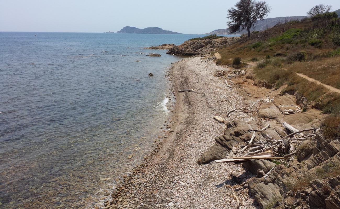 Фото Quessine beach с камни поверхностью