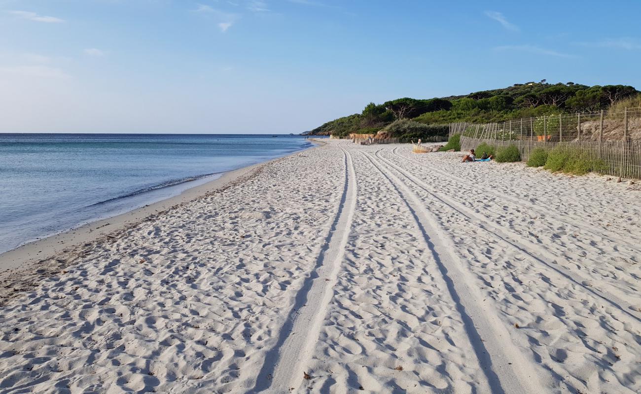 Фото Salins beach с золотистый песок поверхностью