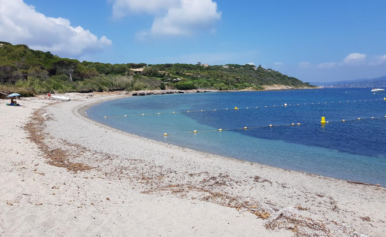 Фото La Moutte beach с светлый песок поверхностью