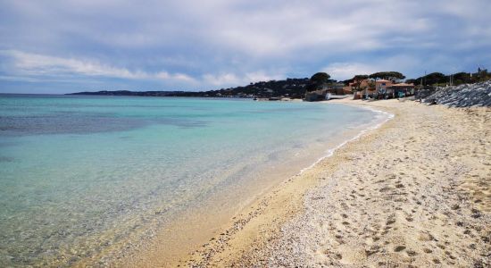 Plage des Elephants