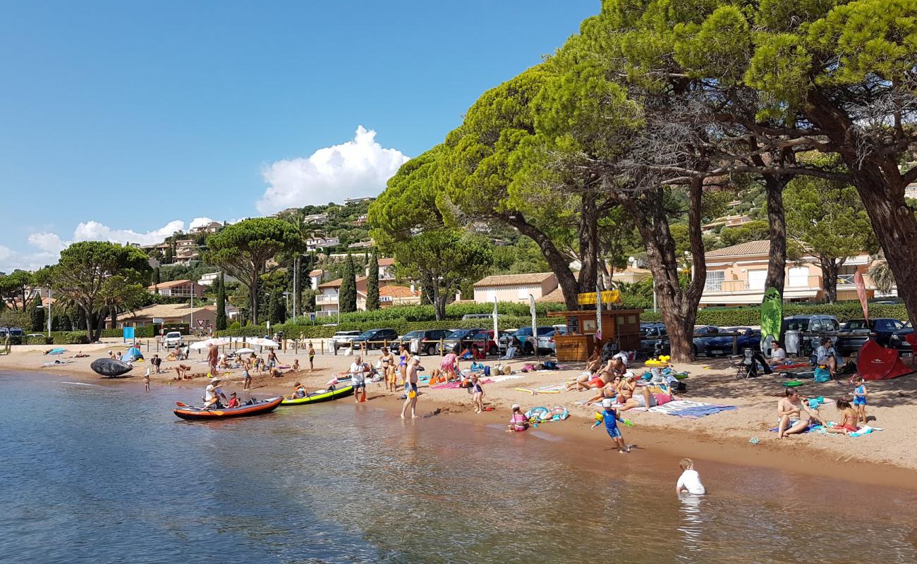 Фото Plage d'Agay с светлый песок поверхностью