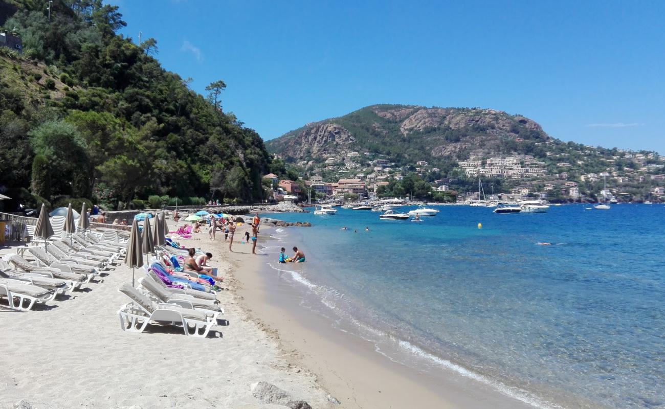 Фото Petite Fontaine beach с золотистый песок поверхностью