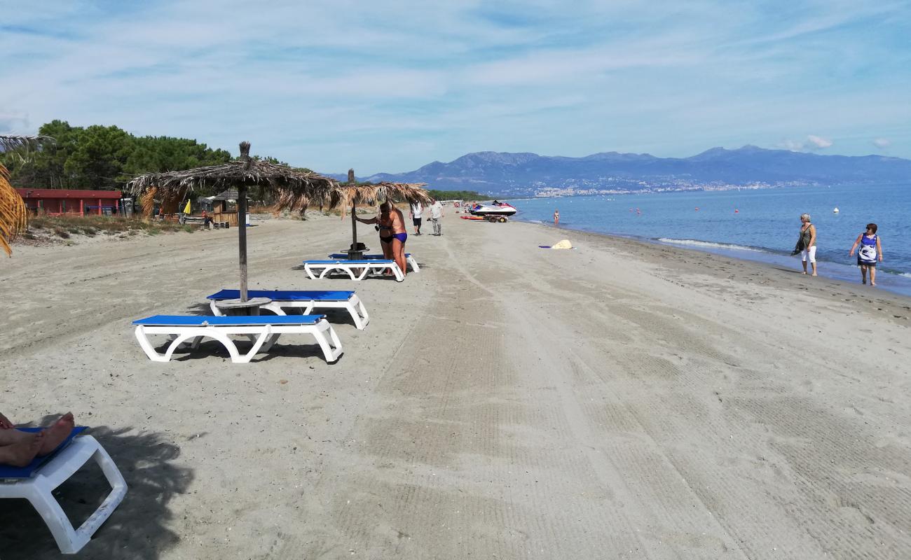 Фото Plage de Borgo с светлый песок поверхностью