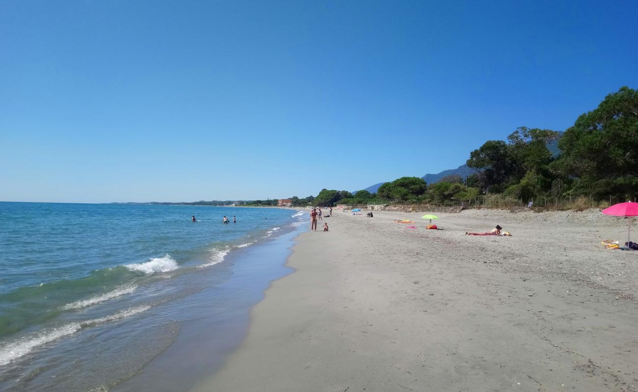 Фото Ponticchio beach с светлый песок поверхностью