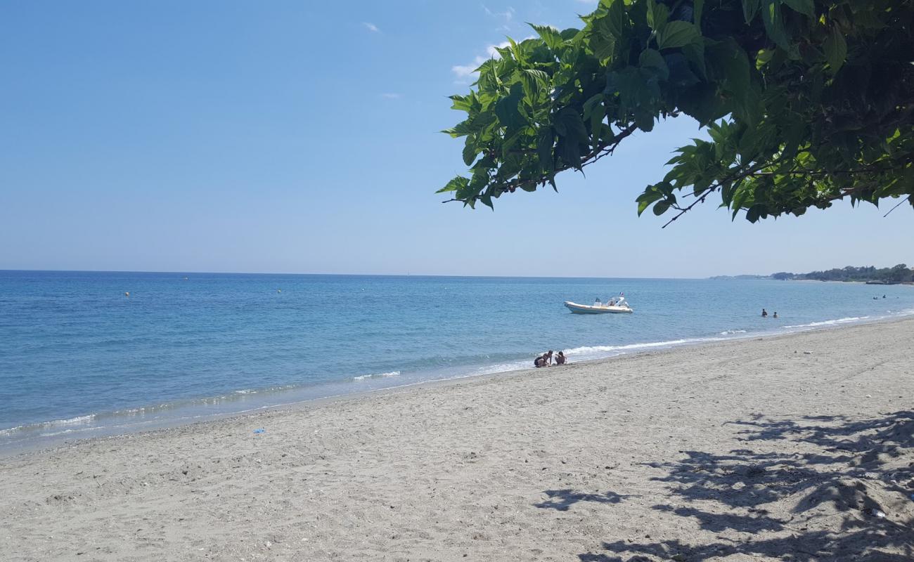 Фото Moriani Plage с светлый песок поверхностью