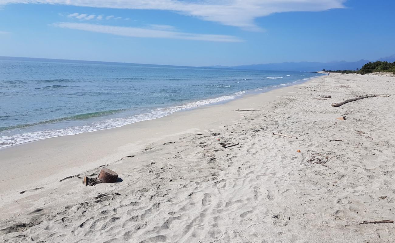 Фото Plage de Casabianda с светлый песок поверхностью