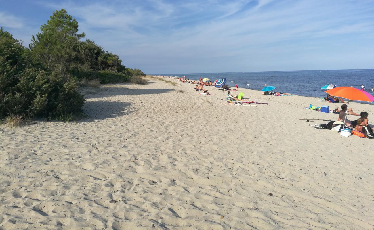 Фото Plage Pinia с золотистый песок поверхностью