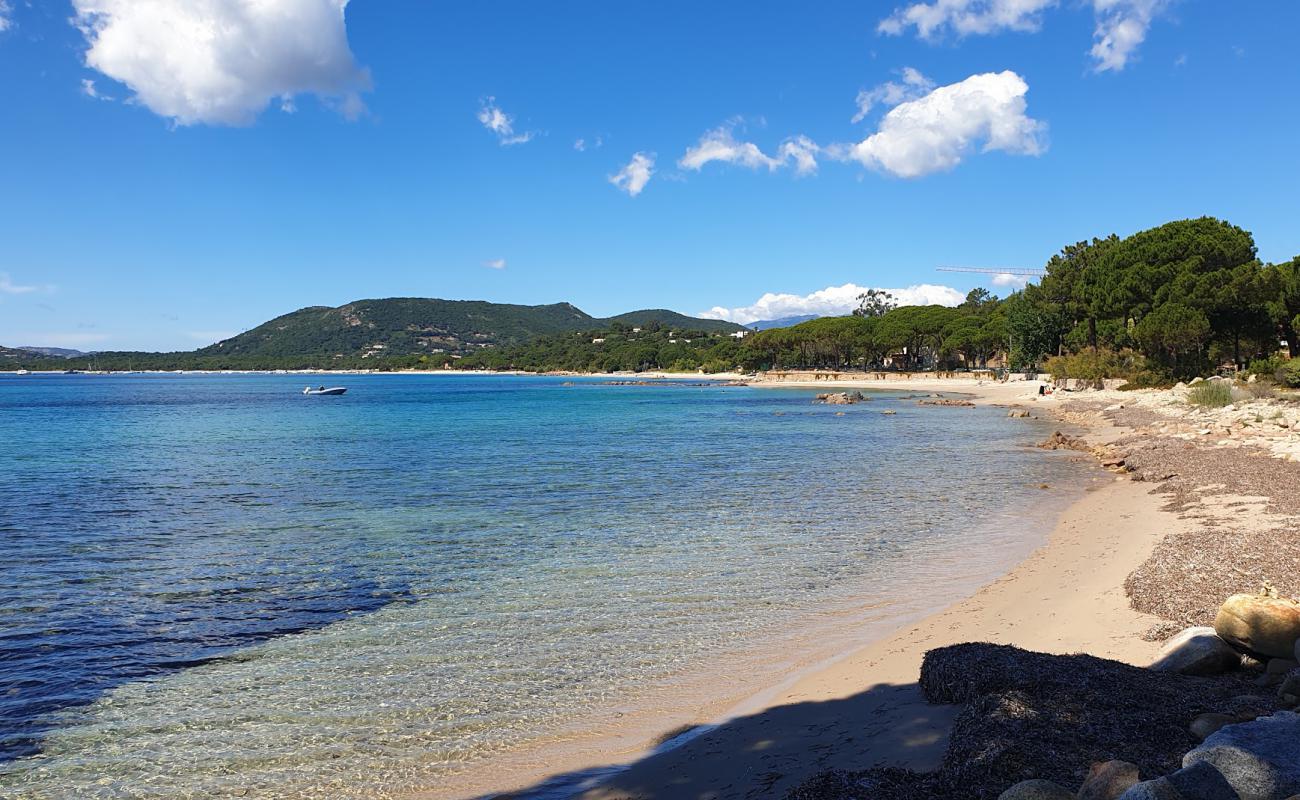 Фото Plage de Vardiola с светлый песок поверхностью