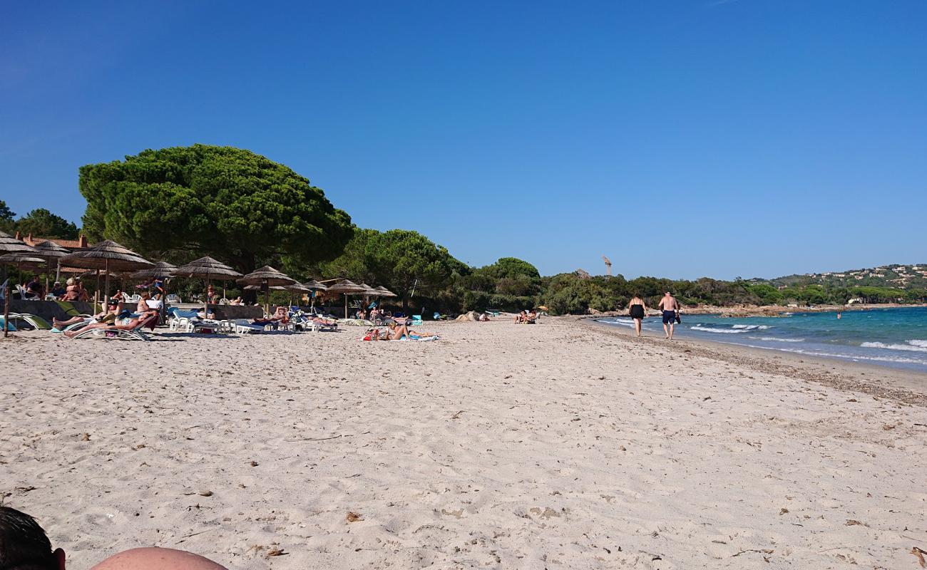 Фото Plage de Pinarellu с светлый песок поверхностью