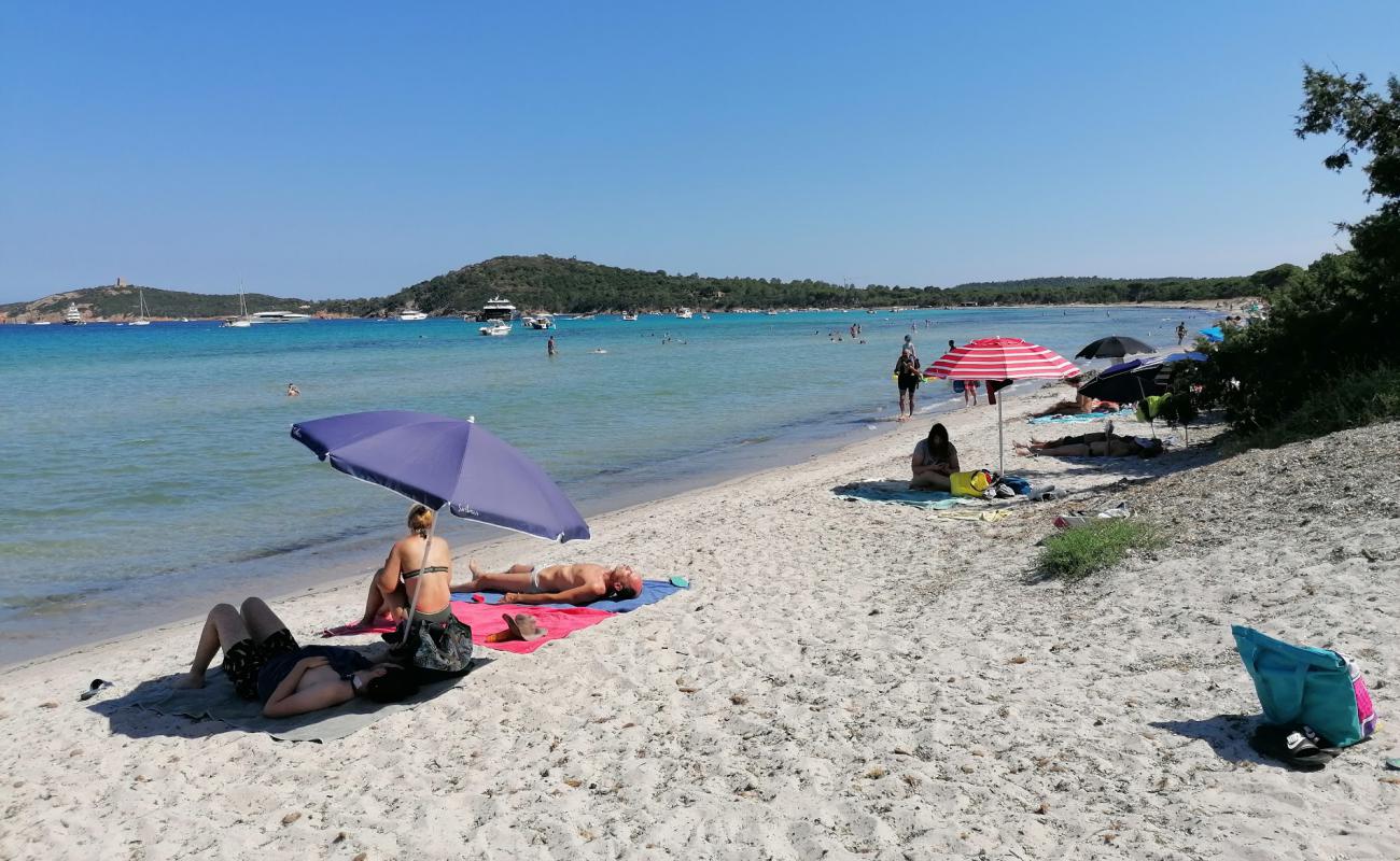 Фото Plage de Pinarellu с золотистый песок поверхностью